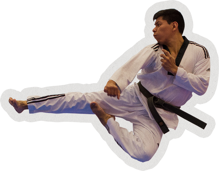 Karate collage