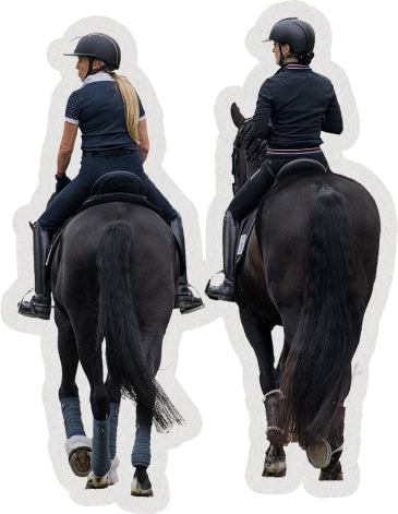 Equestrian collage