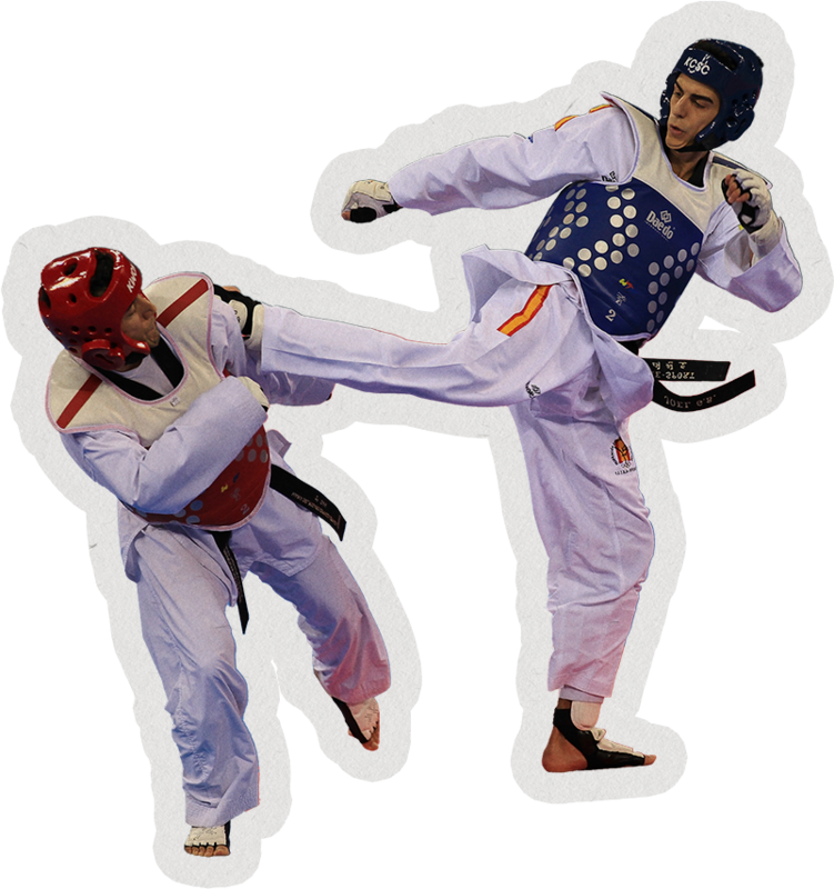 Taekwondo collage